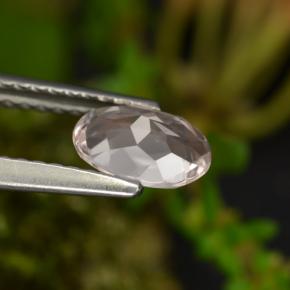 Morganita rosa natural 0,60ct, corte oval, VVS-VS