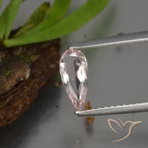 Morganita Luz rosa Natural 0.44ct, Formato de pêra, VVS-VS