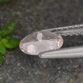 Morganita rosa natural 0,53ct, corte oval, VVS