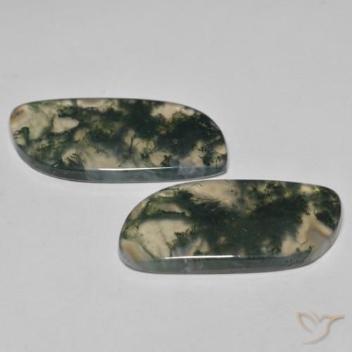 Pedras preciosas de Ágata musgosa Multicolorido natural de 33.46 ct, Chique, Transparente