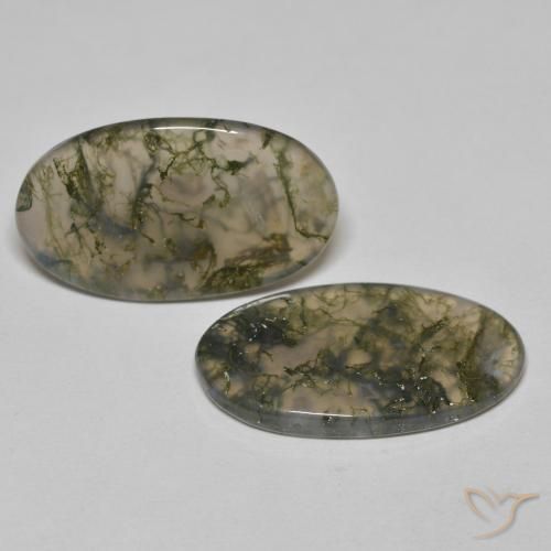 Pedras preciosas de Ágata musgosa Multicolorido natural de 19.45 ct, oval, Transparente