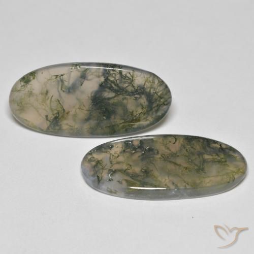 Pedras preciosas de Ágata musgosa Multicolorido natural de 26.37 ct, oval, Transparente