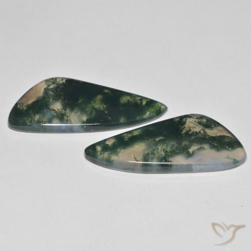 Pedras preciosas de Ágata musgosa Multicolorido natural de 23.57 ct, Chique, Transparente