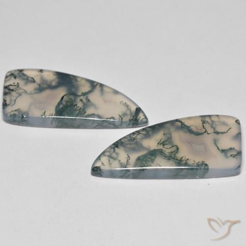 Pedras preciosas de Ágata musgosa Multicolorido natural de 26.05 ct, Chique, Transparente