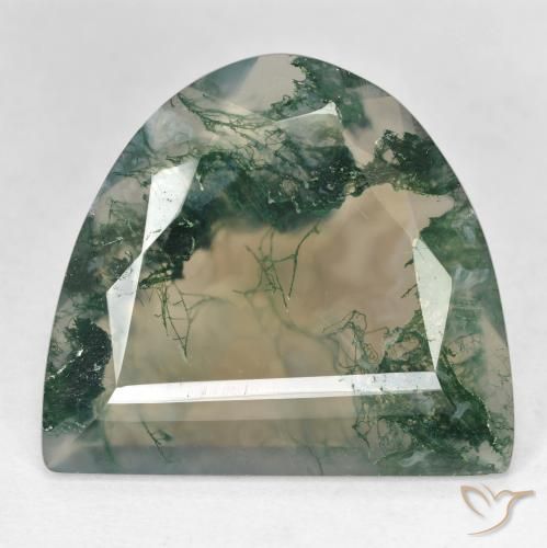 Ágata musgosa multicolorido natural 18,92ct, forma extravagante, transparente