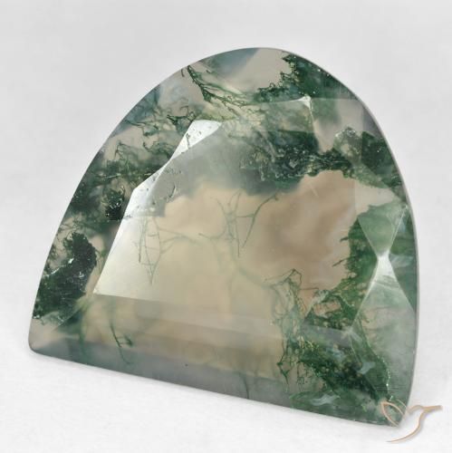 Ágata musgosa multicolorido natural 18,92ct, forma extravagante, transparente