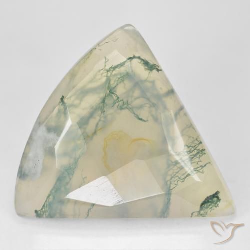 Ágata musgosa verde natural 26,18ct, trillion, translúcido
