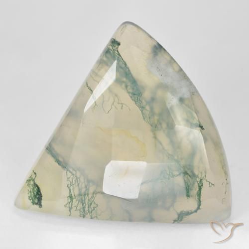 Ágata musgosa verde natural 26,18ct, trillion, translúcido