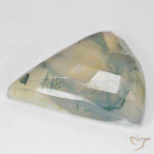 Ágata musgosa verde natural 26,18ct, trillion, translúcido