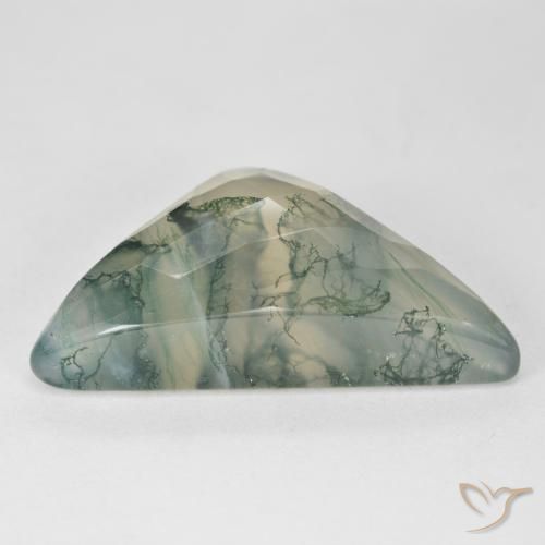 Ágata musgosa Luz verde Natural 17.68ct, Trilhão, Translúcido