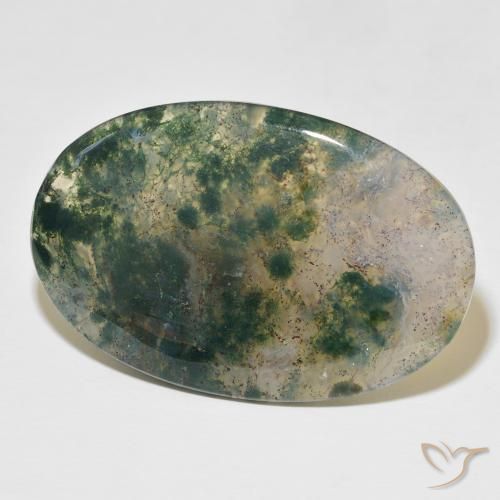 Ágata musgosa Multicolorido Natural 52.44ct, oval, Translúcido