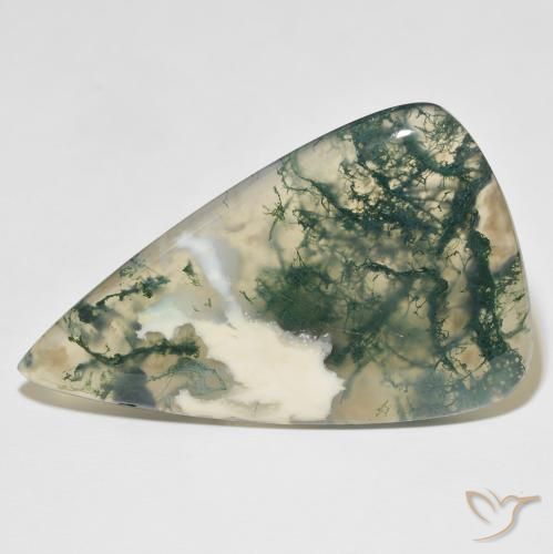 65.25ct Natural Multicolorido Ágata musgosa, Formato de pêra, Translúcido