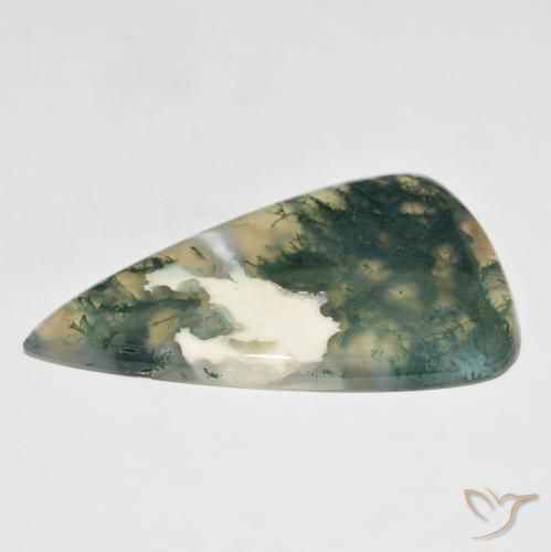 Ágata musgosa Multicolorido Natural 65.25ct, Formato de pêra, Translúcido