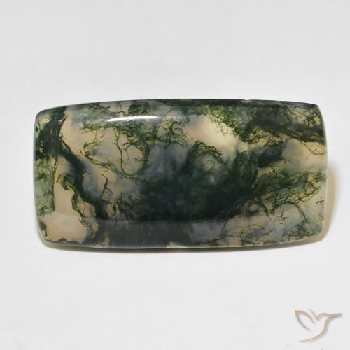 49.99ct Natural Multicolorido Ágata musgosa, Almofada, Translúcido