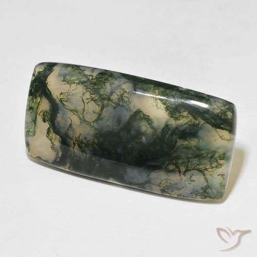 Ágata musgosa Multicolorido Natural 49.99ct, Almofada, Translúcido