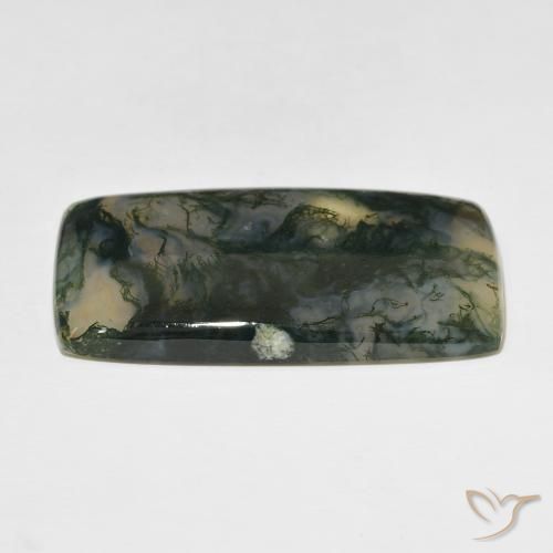 Ágata musgosa Multicolorido Natural 49.99ct, Almofada, Translúcido