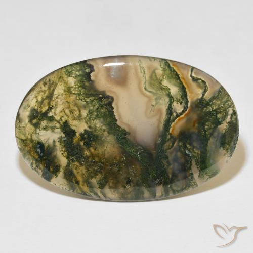47.75ct Natural Multicolorido Ágata musgosa, oval, Translúcido