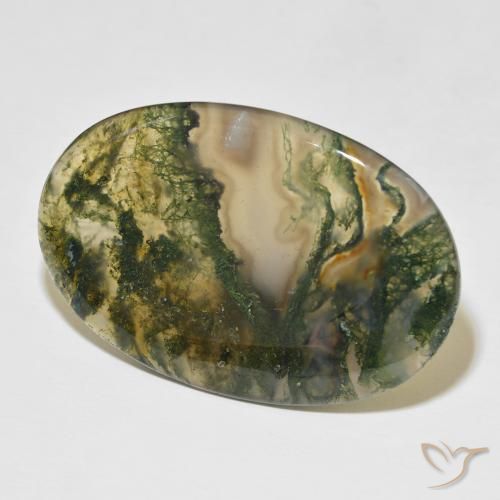 Ágata musgosa Multicolorido Natural 47.75ct, oval, Translúcido