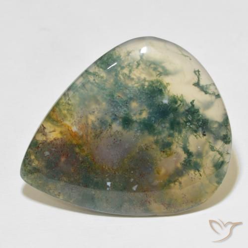 49.60ct Natural Multicolorido Ágata musgosa, Formato de pêra, Translúcido