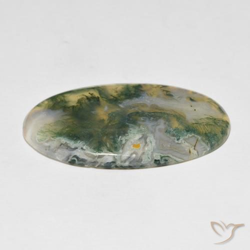 Ágata musgosa Multicolorido Natural 48.97ct, oval, Opaco