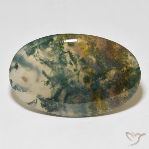 63.36ct Natural Multicolorido Ágata musgosa, oval, Translúcido