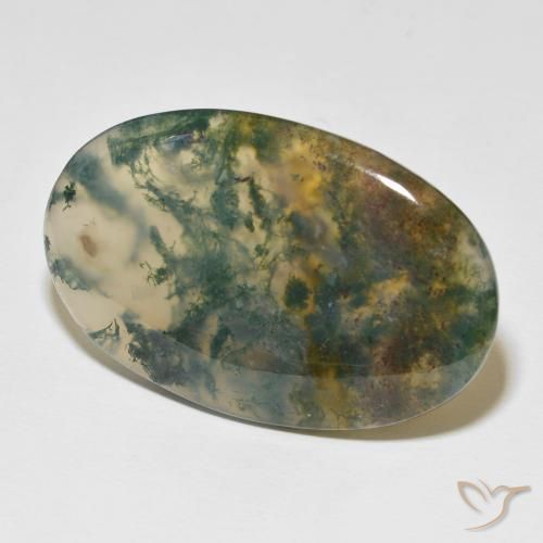 Ágata musgosa Multicolorido Natural 63.36ct, oval, Translúcido