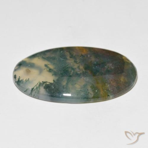 Ágata musgosa Multicolorido Natural 63.36ct, oval, Translúcido