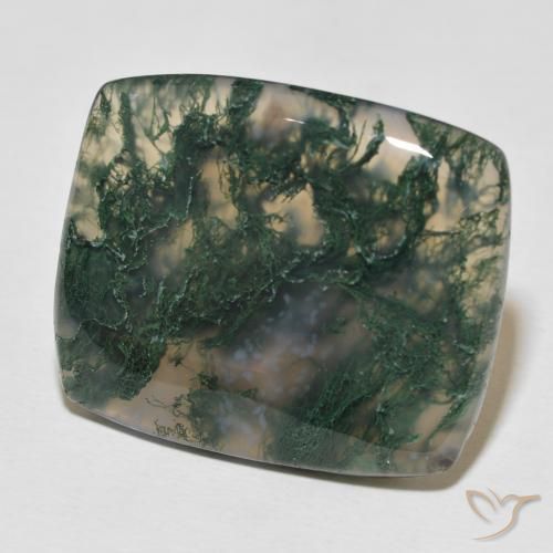 Ágata musgosa Multicolorido Natural 27.23ct, Almofada, Opaco