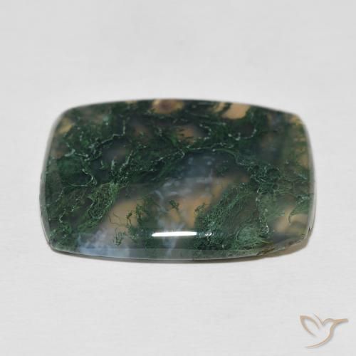 Ágata musgosa Multicolorido Natural 27.23ct, Almofada, Opaco