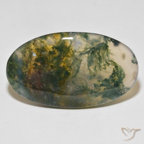 Ágata musgosa multicolorido natural 47,03ct, corte oval, opaco
