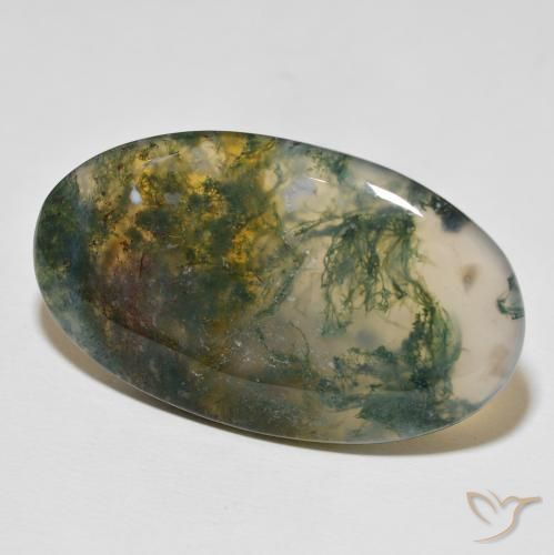 Ágata musgosa multicolorido natural 47,03ct, corte oval, opaco