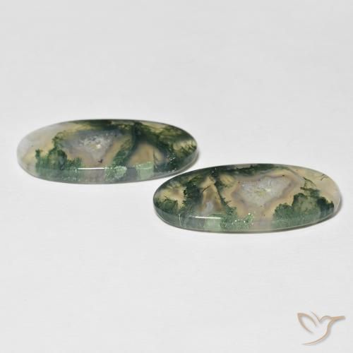 Pedras preciosas de Ágata musgosa Multicolorido natural de 30.74 ct, oval, Translúcido
