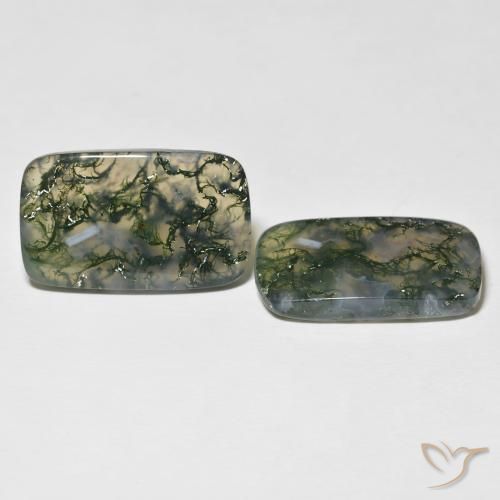 Pedras preciosas de Ágata musgosa Multicolorido natural de 28.06 ct, Almofada, Translúcido