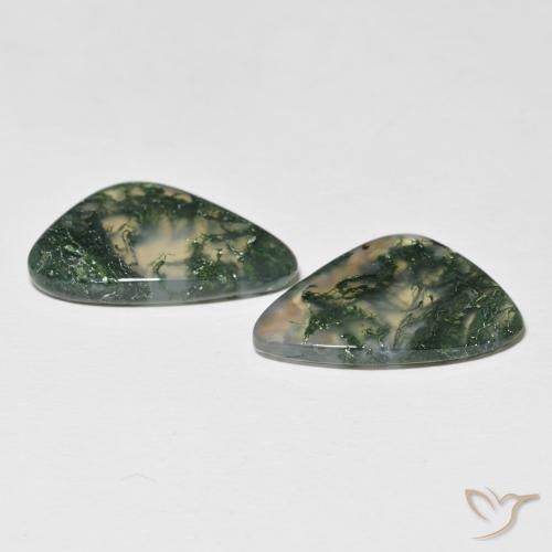 Pedras preciosas de Ágata musgosa Multicolorido natural de 19.96 ct, Chique, Translúcido