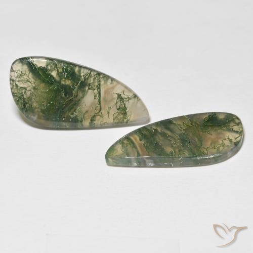 Pedras preciosas de Ágata musgosa Multicolorido natural de 24.05 ct, Chique, Translúcido