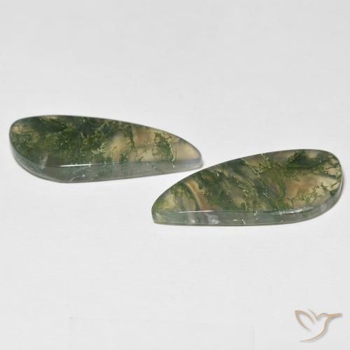 Pedras preciosas de Ágata musgosa Multicolorido natural de 24.05 ct, Chique, Translúcido