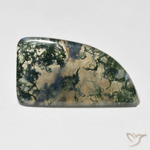 12.73ct Natural Multicolorido Ágata musgosa, Chique, Translúcido