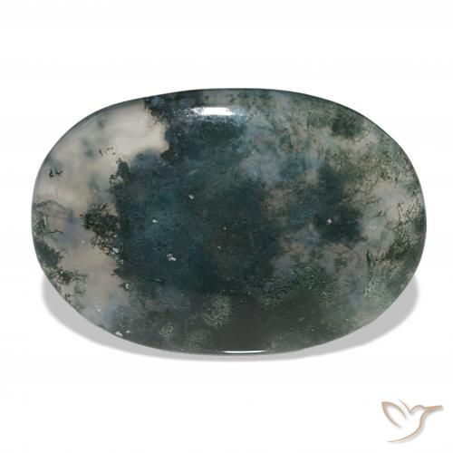 45.08ct Multicolorido Ágata musgosa, oval, Translúcido