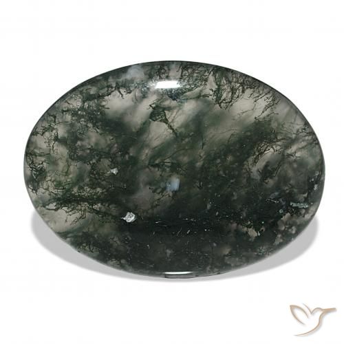 53.06ct Multicolorido Ágata musgosa, oval, Translúcido