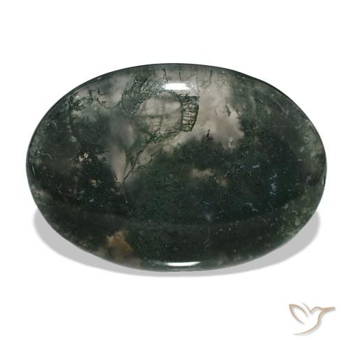 58.50ct Multicolorido Ágata musgosa, oval, Translúcido