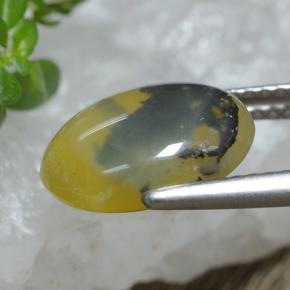 Opala musgo dendrito amarelo Natural 2.98ct, Corte Oval, Translúcido