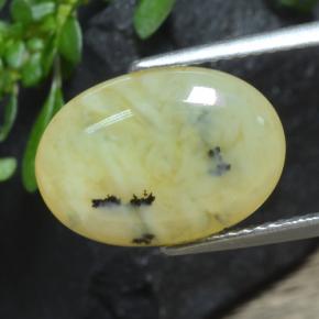 Opala musgosa amarelo natural 4,33ct, corte oval, translúcido