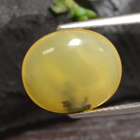 Opala musgosa amarelo natural 3,65ct, corte oval, translúcido