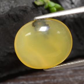Opala musgosa amarelo natural 3,65ct, corte oval, translúcido