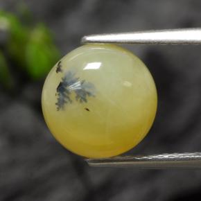 Opala musgosa amarelo natural 2,73ct, corte redondo, translúcido