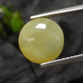 Opala musgosa amarelo natural 2,73ct, corte redondo, translúcido