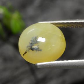 Opala musgosa amarelo natural 2,73ct, corte redondo, translúcido