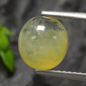 Opala musgo dendrito amarelo Natural 1.93ct, Corte Oval, Translúcido