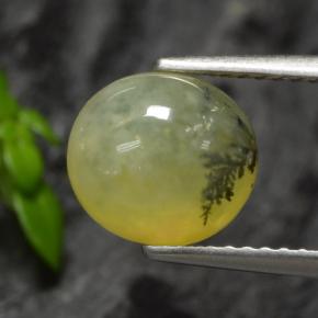 Opala musgo dendrito amarelo Natural 1.93ct, Corte Oval, Translúcido