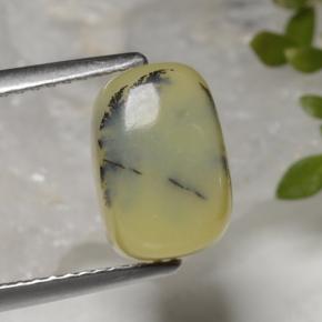 Opala musgosa amarelo natural 3,88ct, almofada cortada, opaco